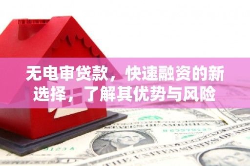 太保无电审贷款，快速融资的新选择，了解其优势与风险