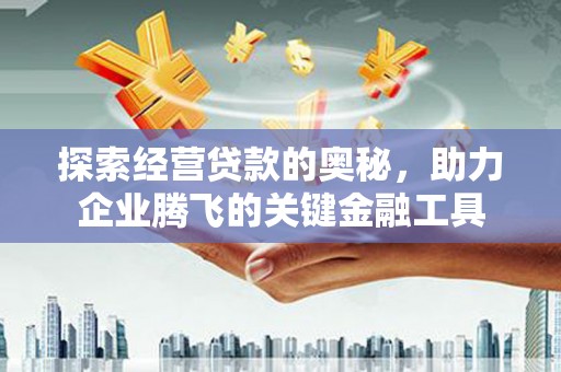 卧龙探索经营贷款的奥秘，助力企业腾飞的关键金融工具