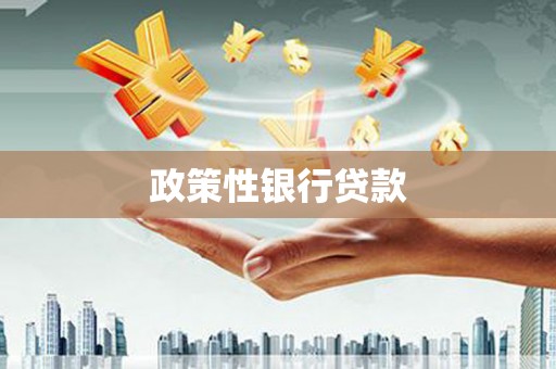 奎文政策性银行贷款