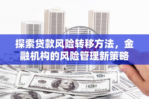 顺庆探索贷款风险转移方法，金融机构的风险管理新策略