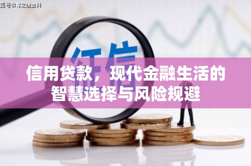 中埔信用贷款，现代金融生活的智慧选择与风险规避