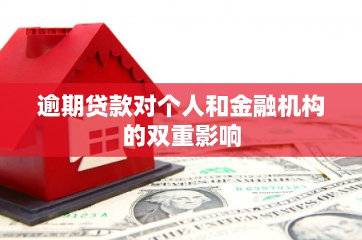 民雄逾期贷款对个人和金融机构的双重影响