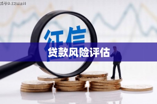 河津贷款风险评估