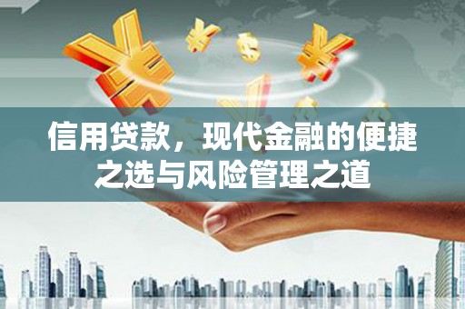 万柏林信用贷款，现代金融的便捷之选与风险管理之道