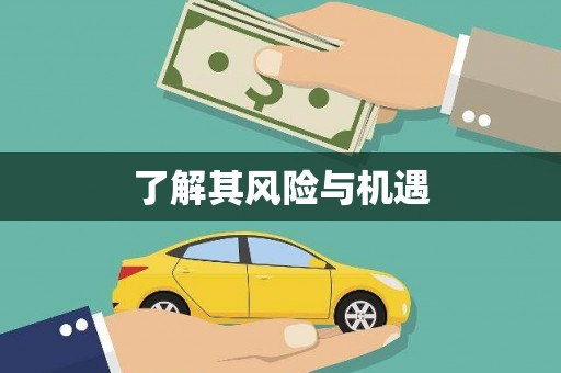 交口了解其风险与机遇