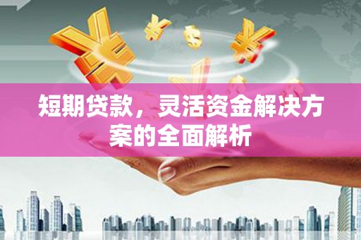 阳东短期贷款，灵活资金解决方案的全面解析