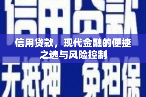 莱山信用贷款，现代金融的便捷之选与风险控制