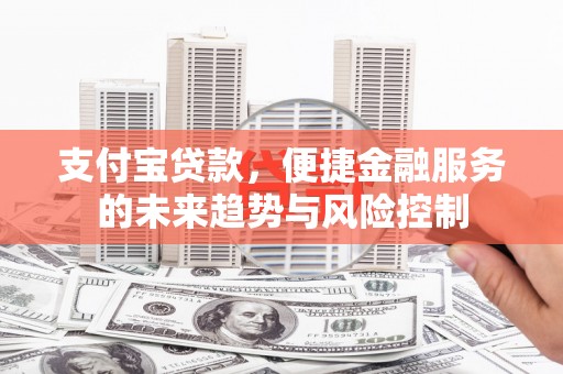 迭部支付宝贷款，便捷金融服务的未来趋势与风险控制