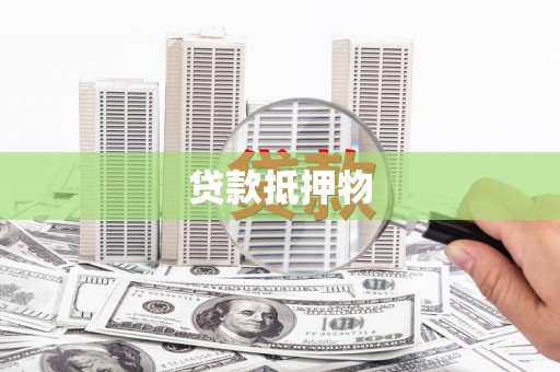 新华贷款抵押物