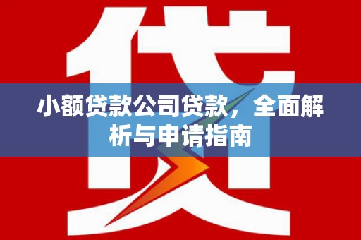 兴业小额贷款公司贷款，全面解析与申请指南