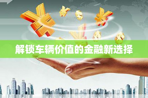 环江解锁车辆价值的金融新选择