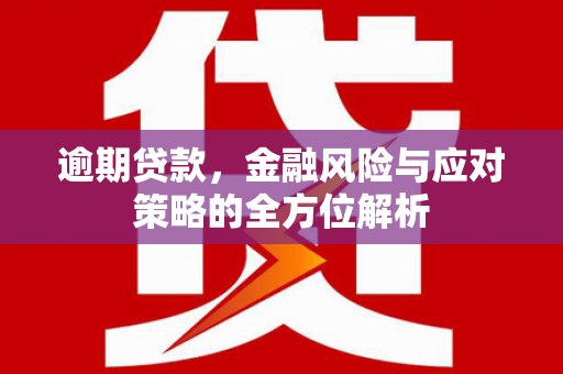 双河逾期贷款，金融风险与应对策略的全方位解析
