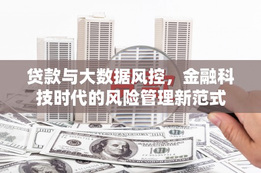 米东贷款与大数据风控，金融科技时代的风险管理新范式