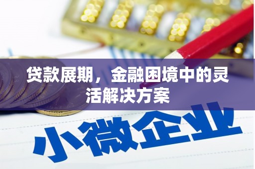 南涧贷款展期，金融困境中的灵活解决方案