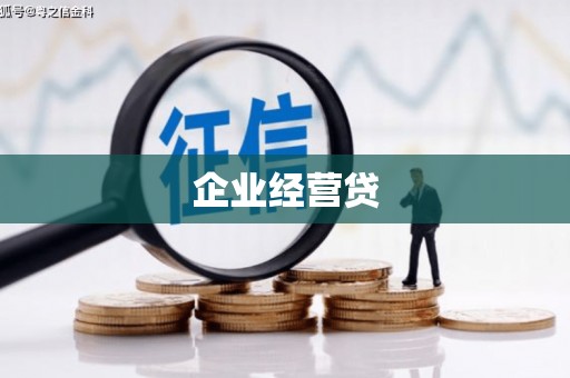 汶上企业经营贷