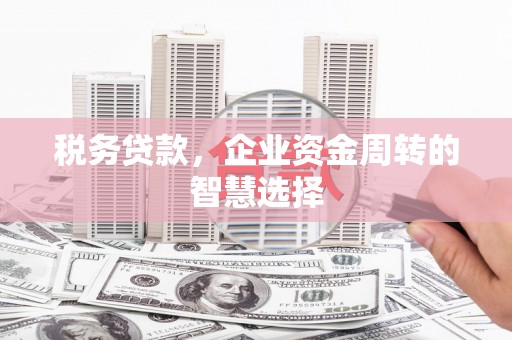 榆树税务贷款，企业资金周转的智慧选择