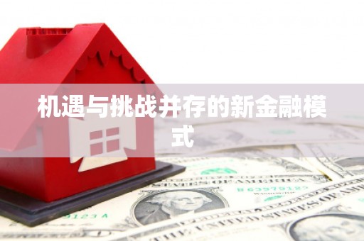 岳塘机遇与挑战并存的新金融模式