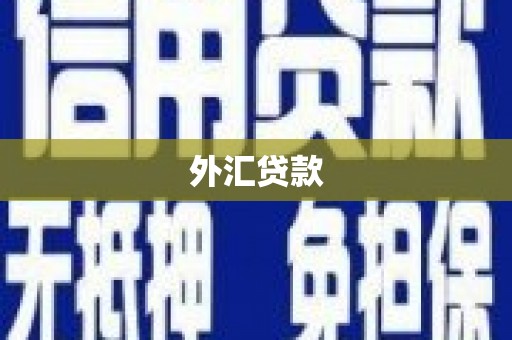 武义外汇贷款