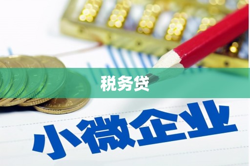 宣威税务贷