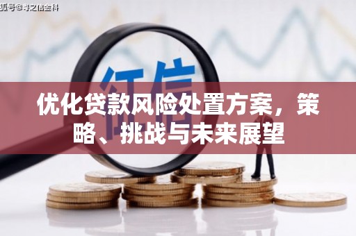 樊城优化贷款风险处置方案，策略、挑战与未来展望
