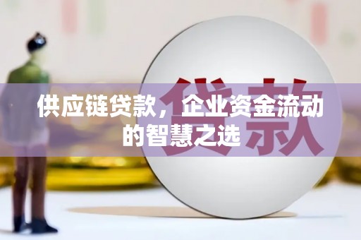 瓯海供应链贷款，企业资金流动的智慧之选
