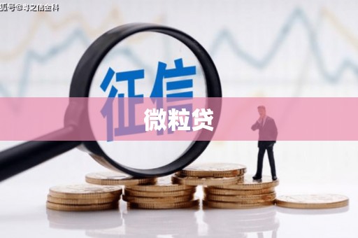 当涂微粒贷