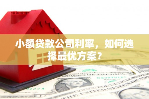 太子河小额贷款公司利率，如何选择最优方案？