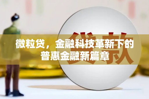 天宁微粒贷，金融科技革新下的普惠金融新篇章