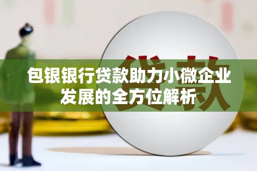 岱山包银银行贷款助力小微企业发展的全方位解析