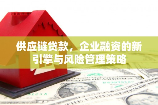 宝山供应链贷款，企业融资的新引擎与风险管理策略