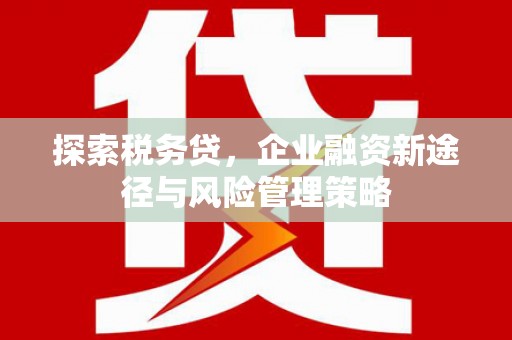 滴道探索税务贷，企业融资新途径与风险管理策略