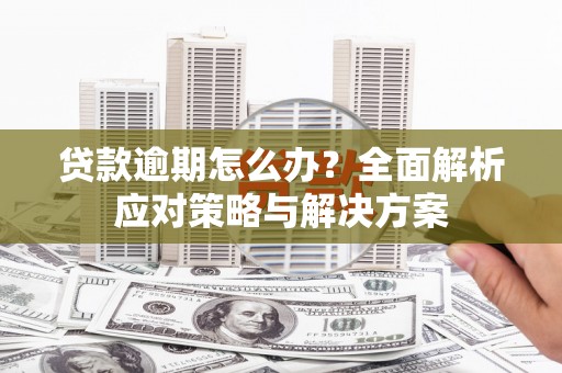 交口贷款逾期怎么办？全面解析应对策略与解决方案