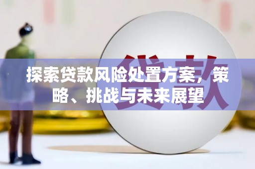 滦县探索贷款风险处置方案，策略、挑战与未来展望