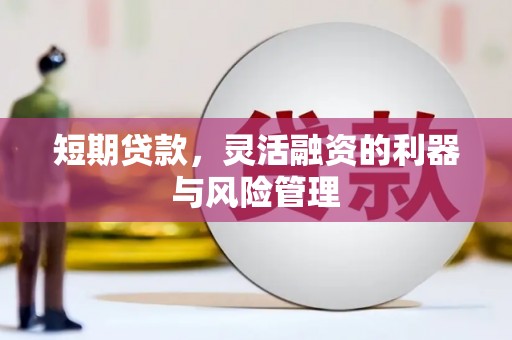 山东短期贷款，灵活融资的利器与风险管理