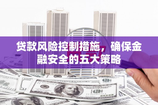阜城贷款风险控制措施，确保金融安全的五大策略