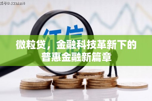 黔西微粒贷，金融科技革新下的普惠金融新篇章