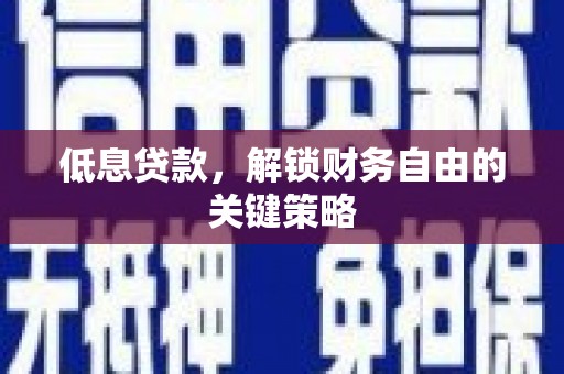 洞头低息贷款，解锁财务自由的关键策略
