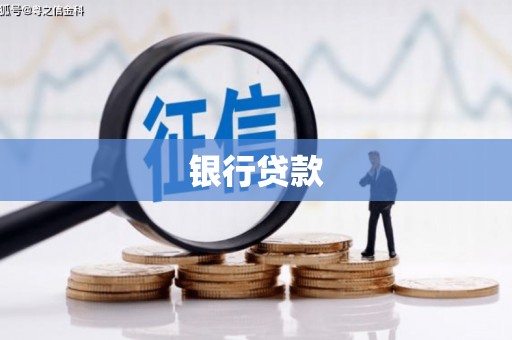 东坡银行贷款