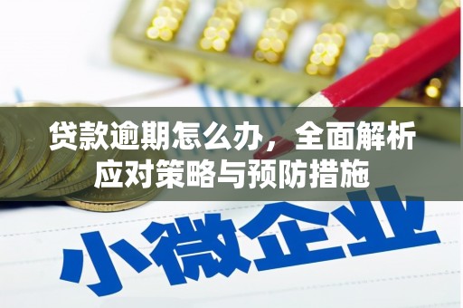 水里贷款逾期怎么办，全面解析应对策略与预防措施