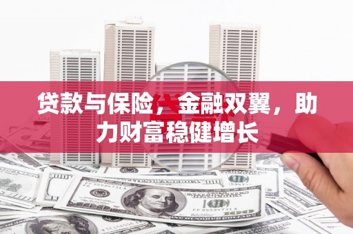 勉县贷款与保险，金融双翼，助力财富稳健增长
