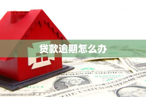 里港贷款逾期怎么办