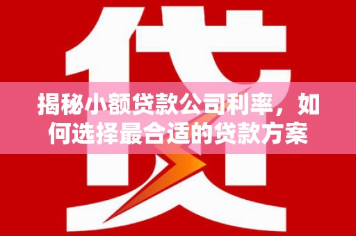 淄博揭秘小额贷款公司利率，如何选择最合适的贷款方案