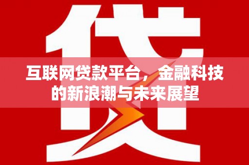 清水河互联网贷款平台，金融科技的新浪潮与未来展望