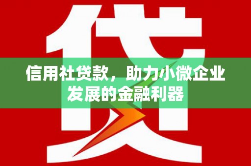 广元信用社贷款，助力小微企业发展的金融利器