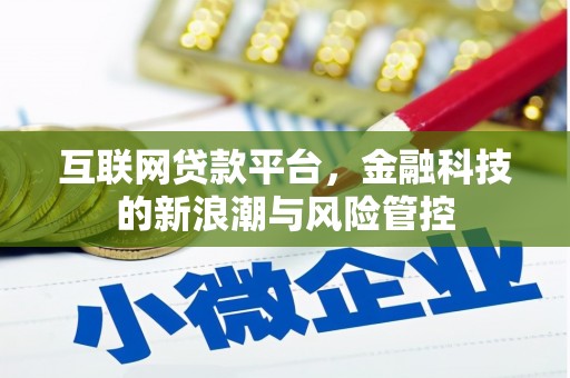 中卫互联网贷款平台，金融科技的新浪潮与风险管控