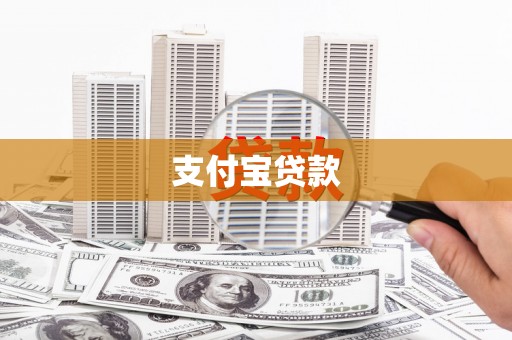 平果支付宝贷款