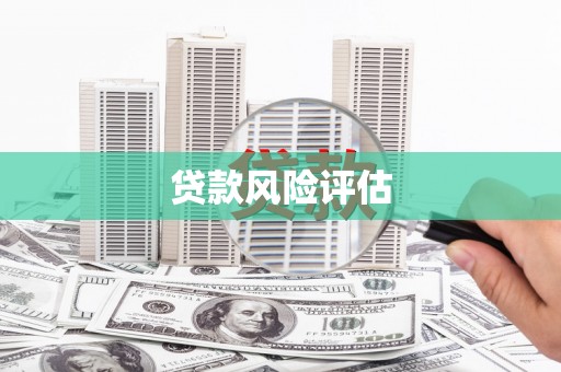 马关贷款风险评估