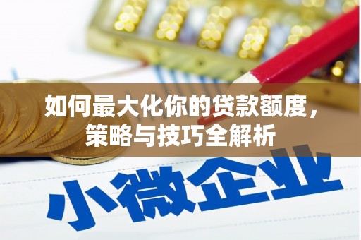 狮子如何最大化你的贷款额度，策略与技巧全解析
