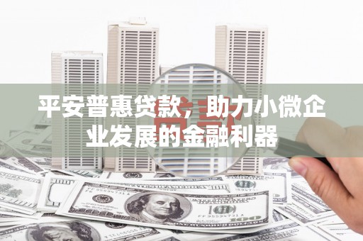 宝塔平安普惠贷款，助力小微企业发展的金融利器