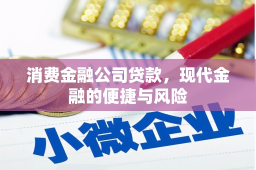 灵台消费金融公司贷款，现代金融的便捷与风险